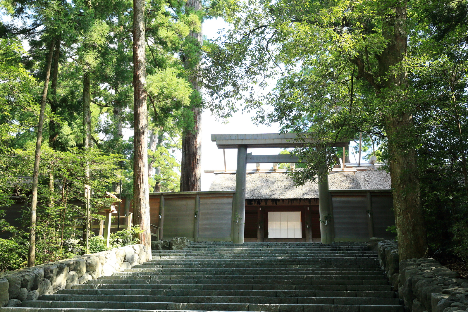 伊勢神宮御正殿と建築 - 銘木の伝世
