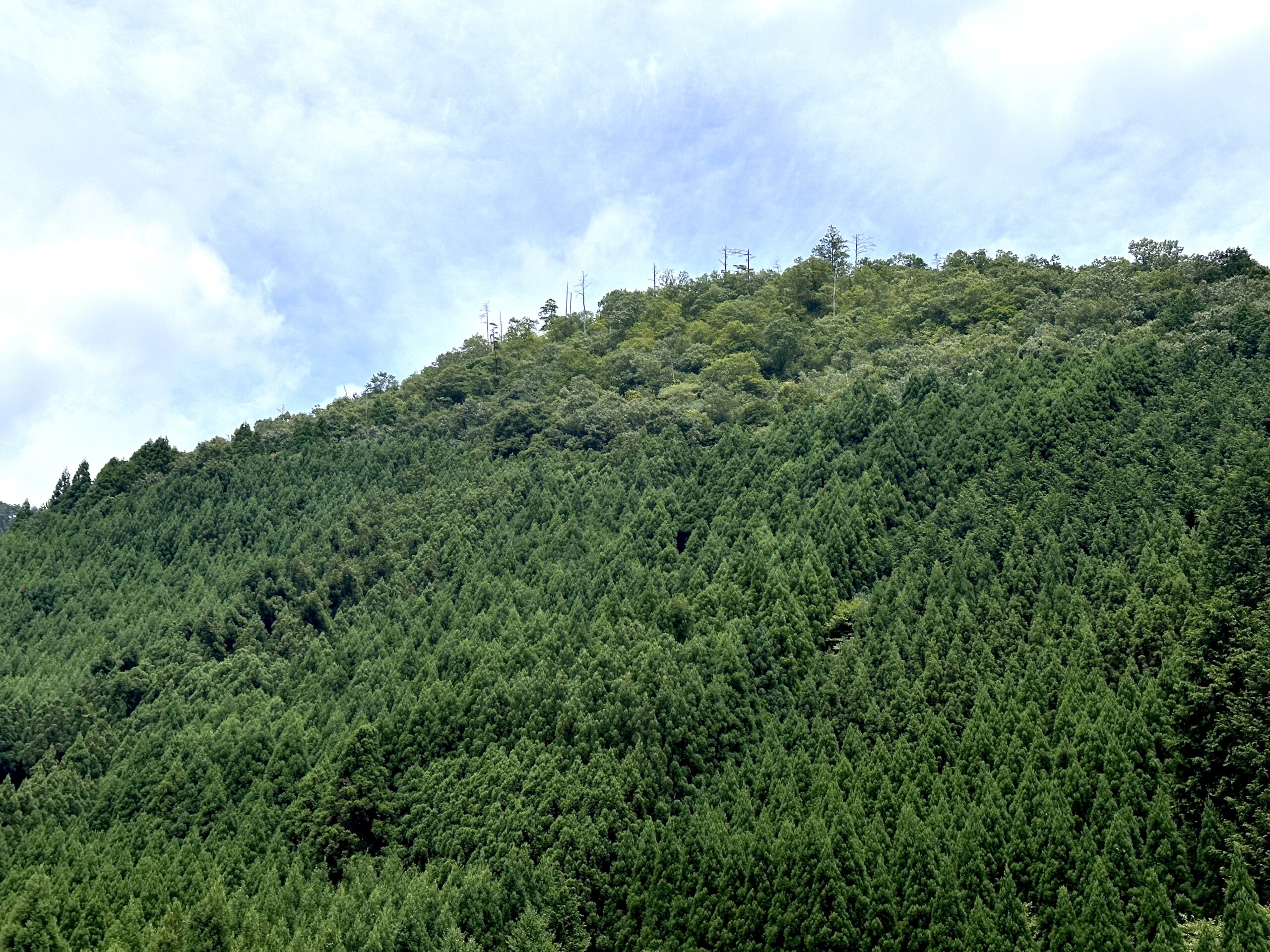 IMG_0607✔️-scaled.jpeg