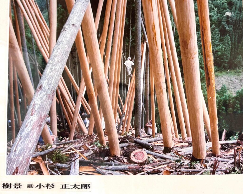 伝統が紡ぐ北山杉の自然と職人技｜中源株式会社 - 銘木の伝世
